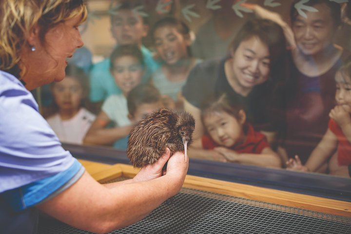 National Kiwi Hatchery - Kiwi Encounter Tour - Photo 1 of 7